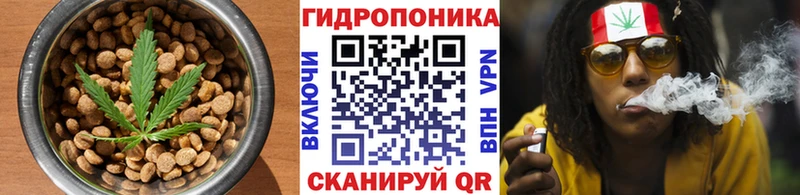даркнет сайт  Урус-Мартан  Печенье с ТГК конопля 