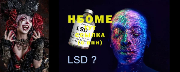 мяу мяу мука Абаза