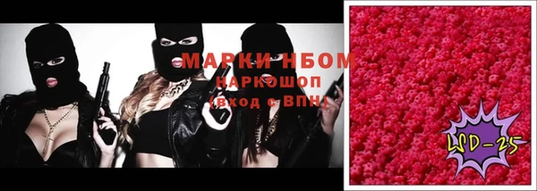 гидра Михайловка