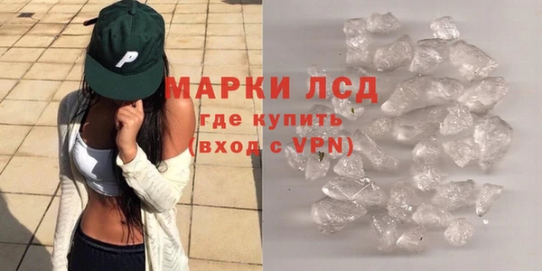 гидра Михайловка
